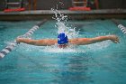 Swim vs Bentley  Wheaton College Swimming & Diving vs Bentley University. - Photo by Keith Nordstrom : Wheaton, Swimming & Diving